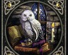 wiccan owl