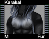 Karakal Fur M