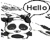 panda says  hello