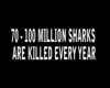 Save the sharks