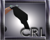 [CRL]gloves Black