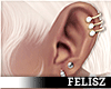 Fz - Rulz Earrings