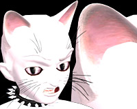 THE BEST CAT EARS - White