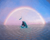 DOLPHIN WITH WATER..