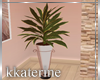 [kk] Imagine Plant 2