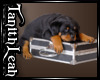 TL* Puppy & briefcase