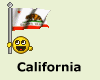California flag smiley