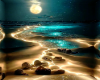 Magic Night Bg