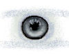 (MT)Vapor Eyes