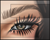 I│Armenian Brows Honey