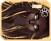 [Pets] Theo | hair v3
