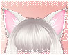 Neko Ears |Warm Silver