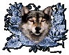 Wolf Head Blue Flowers