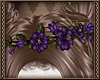 [Ry] Purple flowercrown