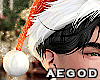 Ⱥ" Sparkle Xmas Hat