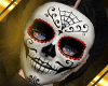 Catrina Norma Wine