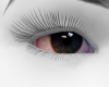 Realism HD eyes