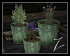 Z | Hidden- Flowerpots