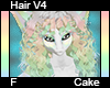 Cake Hair F V4