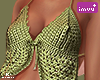 |< Green Crochet Top
