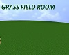 grass field room