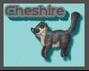 Tiny Cheshire Cat 2