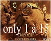 GIMS - ONLY YOU