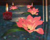 Roses Candles