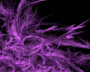 Purple abstract4 picture
