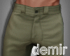 [D] Barry green pants