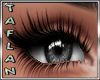 T* Cat Gray Eyes