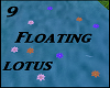 9 Floating Lotus