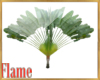 tropical plant derive