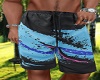 Beach Shorts/pjs