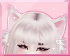 ℓ fluffy cat ears