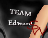 .sw. TwilightT- Edward