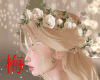 梅 lily bridal roses