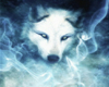 [Tazz]Fantasy Wolf
