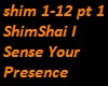 ShimShai SensePresence 1