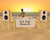 DJ Set Beach Anim