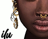 Nickiana MH