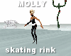 add on skating rink