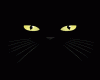 Chapéu Emo Cat