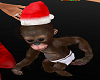 Christmas Monkey