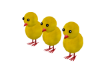 Dancing Easter Chicks