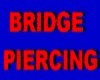 BRIDGE PIERCING NOSE