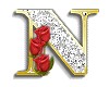 ~N~ Animated letter