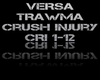 (💥) Crush Injury