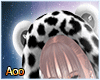 bear v leopard hat