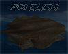 POSELESS ROCK ISLAND